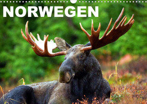 Norwegen (Wandkalender 2023 DIN A3 quer) von Stanzer,  Elisabeth