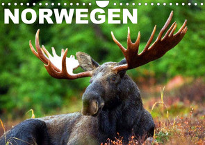 Norwegen (Wandkalender 2023 DIN A4 quer) von Stanzer,  Elisabeth