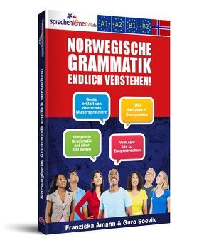 Norwegische Grammatik endlich verstehen! von Amann,  Franziska, Soevik,  Guro