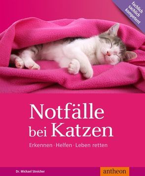 Notfälle bei Katzen von Streicher,  Michael