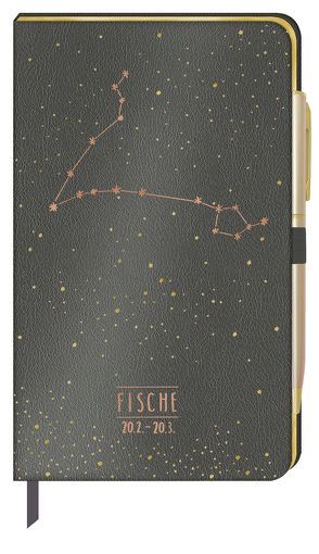 Notizbuch – Fische