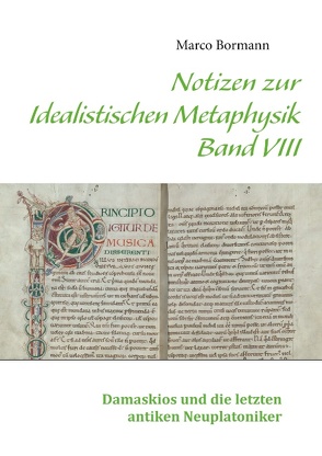 Notizen zur Idealistischen Metaphysik VIII von Bormann,  Marco