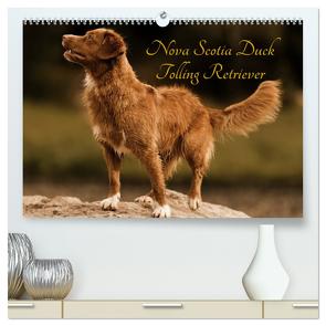 Nova Scotia Duck Tolling Retriever (hochwertiger Premium Wandkalender 2024 DIN A2 quer), Kunstdruck in Hochglanz von Müller Hundefotowerk,  Beatrice