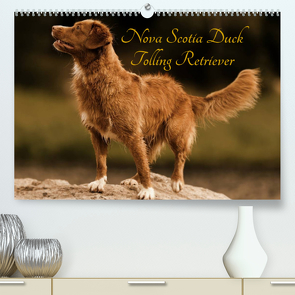 Nova Scotia Duck Tolling Retriever (Premium, hochwertiger DIN A2 Wandkalender 2023, Kunstdruck in Hochglanz) von Müller Hundefotowerk,  Beatrice