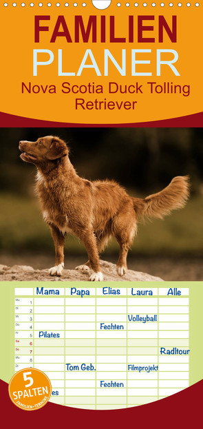 Familienplaner Nova Scotia Duck Tolling Retriever (Wandkalender 2022 , 21 cm x 45 cm, hoch) von Müller Hundefotowerk,  Beatrice