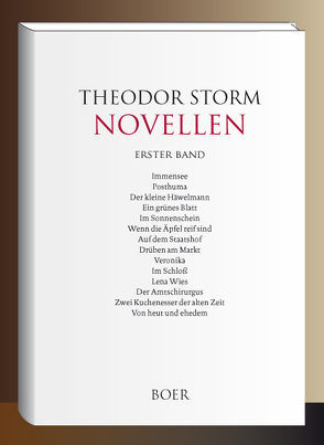 Novellen Band 1 von Storm,  Theodor