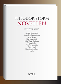 Novellen Band 2 von Storm,  Theodor