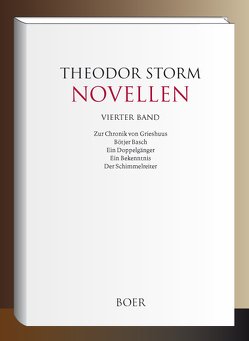 Novellen Band 4 von Storm,  Theodor