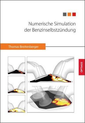 Numerische Simulation der Benzinselbstzündung von Breitenberger,  Thomas