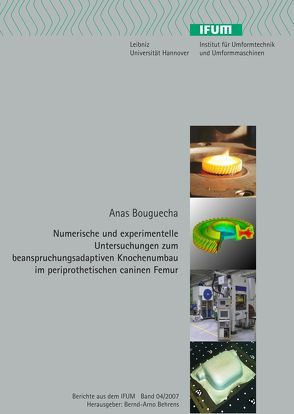 Numerische und experimentelle Untersuchungen zum beanspruchungsadaptiven Knochenumbau im periprothetischen caninen Femur von Bouguecha,  Anas