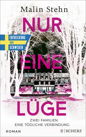 Nur eine Lüge – Zwei Familien, eine tödliche Verbindung von Buchinger,  Friederike, Stehn,  Malin