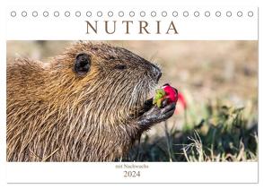 NUTRIA mit Nachwuchs (Tischkalender 2024 DIN A5 quer), CALVENDO Monatskalender von SchnelleWelten,  SchnelleWelten