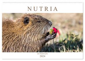 NUTRIA mit Nachwuchs (Wandkalender 2024 DIN A2 quer), CALVENDO Monatskalender von SchnelleWelten,  SchnelleWelten