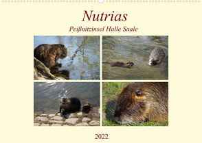 Nutrias Peißnitzinsel Halle Saale (Wandkalender 2022 DIN A2 quer) von Paul - Babett's Bildergalerie,  Babett