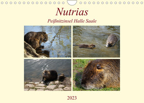 Nutrias Peißnitzinsel Halle Saale (Wandkalender 2023 DIN A4 quer) von Paul - Babett's Bildergalerie,  Babett