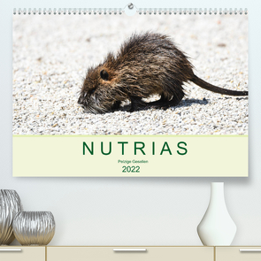 NUTRIAS – Pelzige Gesellen (Premium, hochwertiger DIN A2 Wandkalender 2022, Kunstdruck in Hochglanz) von Styppa,  Robert