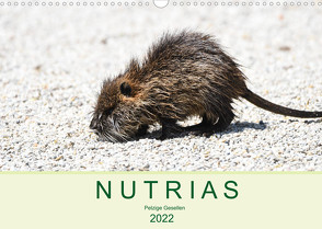 NUTRIAS – Pelzige Gesellen (Wandkalender 2022 DIN A3 quer) von Styppa,  Robert