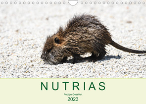 NUTRIAS – Pelzige Gesellen (Wandkalender 2023 DIN A4 quer) von Styppa,  Robert