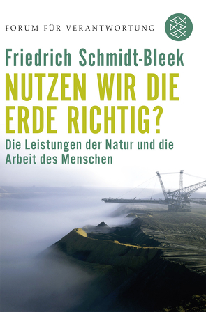 Nutzen wir die Erde richtig? von Schmidt-Bleek,  Friedrich, Wiegandt,  Klaus