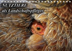 Nutztiere als Landschaftspfleger (Tischkalender 2018 DIN A5 quer) von mit Biss,  Landschaftspflege