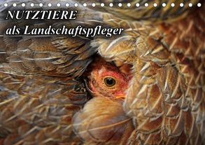 Nutztiere als Landschaftspfleger (Tischkalender 2019 DIN A5 quer) von mit Biss,  Landschaftspflege