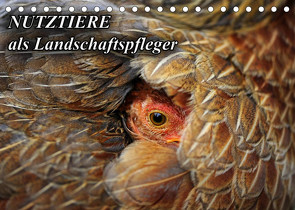 Nutztiere als Landschaftspfleger (Tischkalender 2022 DIN A5 quer) von mit Biss,  Landschaftspflege