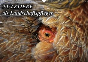 Nutztiere als Landschaftspfleger (Wandkalender 2018 DIN A3 quer) von mit Biss,  Landschaftspflege