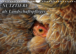 Nutztiere als Landschaftspfleger (Wandkalender 2022 DIN A4 quer) von mit Biss,  Landschaftspflege