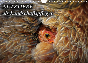 Nutztiere als Landschaftspfleger (Wandkalender 2022 DIN A4 quer) von mit Biss,  Landschaftspflege