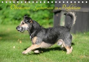 Obedience – Gehorsam in Perfektion (Tischkalender 2018 DIN A5 quer) von Spona,  Helma