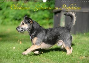 Obedience – Gehorsam in Perfektion (Wandkalender 2019 DIN A3 quer) von Spona,  Helma