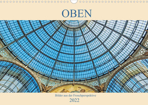 Oben – Bilder aus der Froschperspektive (Wandkalender 2022 DIN A3 quer) von Müller,  Christian