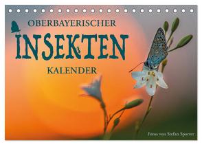 Oberbayerischer Insekten Kalender (Tischkalender 2024 DIN A5 quer), CALVENDO Monatskalender von Spörrer,  Stefan