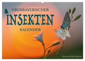 Oberbayerischer Insekten Kalender (Wandkalender 2024 DIN A2 quer), CALVENDO Monatskalender von Spörrer,  Stefan