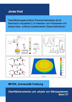 Oberflächengebundene Polymernetzwerke durch thermisch induzierte C,H-Insertion von Polymeren mit phenyl-bzw. sulfonyl-substituierten Diazomethylenen von Kost,  Jonas