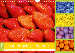 Obst Früchte Beeren 2020. Frische Impressionen von Apfel bis Zwetschge (Wandkalender 2020 DIN A4 quer) von Lehmann (Hrsg.),  Steffani