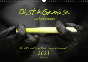 OBST & GEMÜSE in Gorillahänden (Wandkalender 2021 DIN A3 quer) von Besant,  Matthias