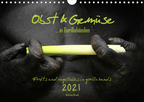 OBST & GEMÜSE in Gorillahänden (Wandkalender 2021 DIN A4 quer) von Besant,  Matthias