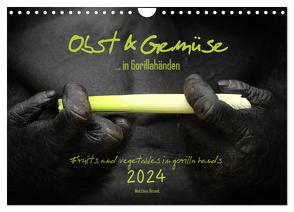 OBST & GEMÜSE in Gorillahänden (Wandkalender 2024 DIN A4 quer), CALVENDO Monatskalender von Besant,  Matthias