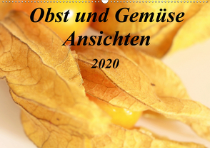 Obst und Gemüse Ansichten (Wandkalender 2020 DIN A2 quer) von r.gue.