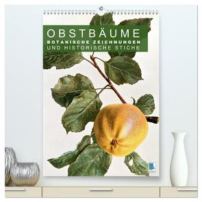 Obstbäume: Botanische Zeichnungen und historische Stiche (hochwertiger Premium Wandkalender 2024 DIN A2 hoch), Kunstdruck in Hochglanz von CALVENDO,  CALVENDO