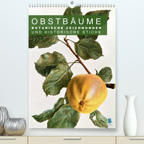 Obstbäume: Botanische Zeichnungen und historische Stiche (Premium, hochwertiger DIN A2 Wandkalender 2023, Kunstdruck in Hochglanz) von CALVENDO