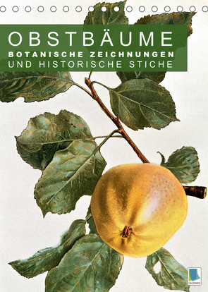 Obstbäume: Botanische Zeichnungen und historische Stiche (Tischkalender 2023 DIN A5 hoch) von CALVENDO