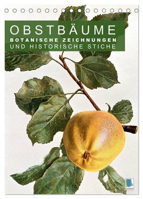 Obstbäume: Botanische Zeichnungen und historische Stiche (Tischkalender 2024 DIN A5 hoch), CALVENDO Monatskalender von CALVENDO,  CALVENDO