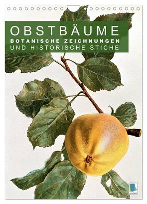 Obstbäume: Botanische Zeichnungen und historische Stiche (Wandkalender 2024 DIN A4 hoch), CALVENDO Monatskalender von CALVENDO,  CALVENDO