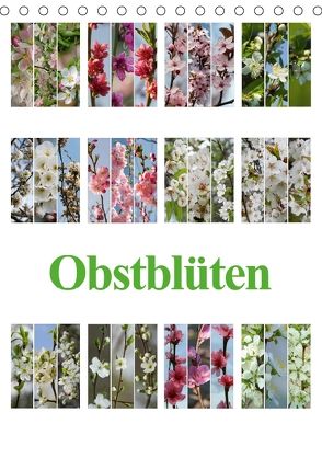 Obstblüten (Tischkalender 2018 DIN A5 hoch) von Gierok,  Steffen