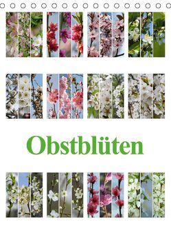 Obstblüten (Tischkalender 2019 DIN A5 hoch) von Gierok,  Steffen