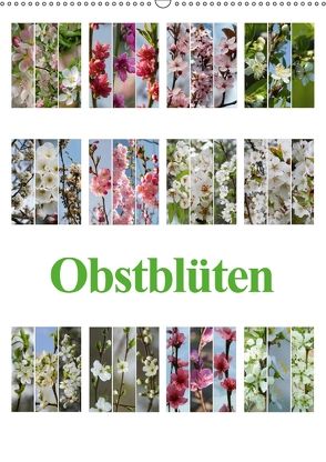 Obstblüten (Wandkalender 2018 DIN A2 hoch) von Gierok,  Steffen