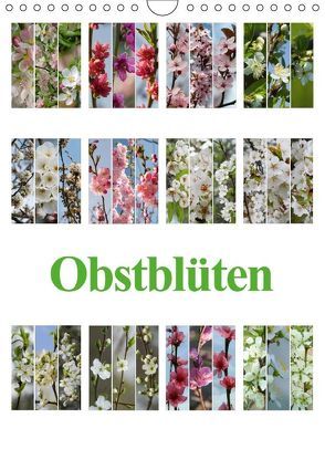 Obstblüten (Wandkalender 2018 DIN A4 hoch) von Gierok,  Steffen