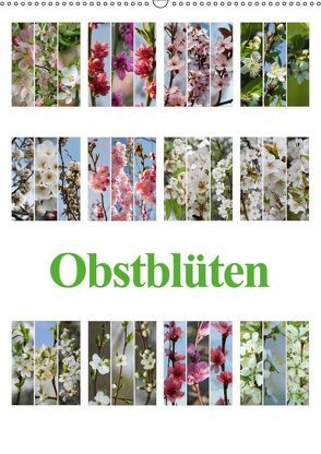 Obstblüten (Wandkalender 2019 DIN A2 hoch) von Gierok,  Steffen